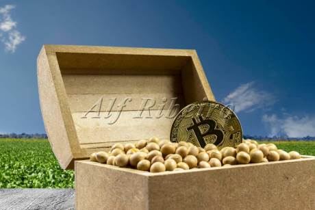 بازار مالی طلا یا صندوق طلا چیست؟